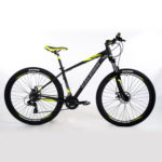 raleigh2.0-29-ROJA